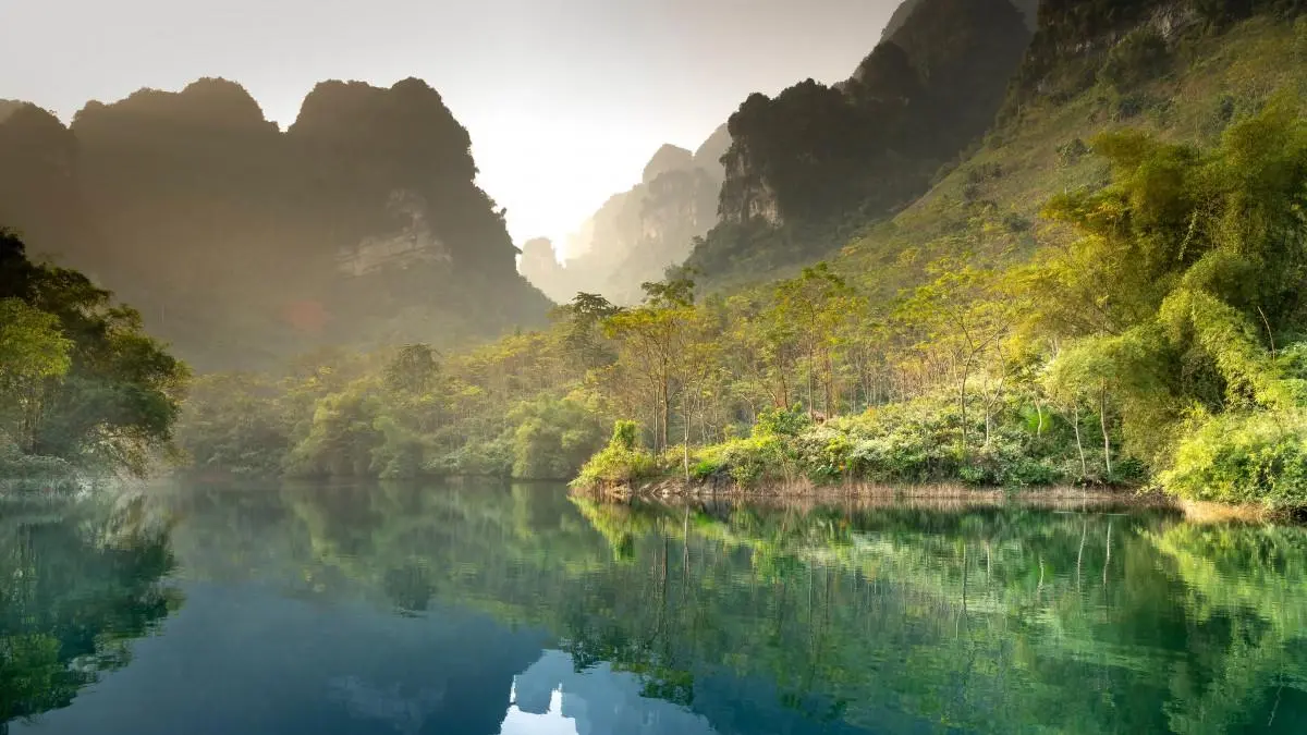 高效高效